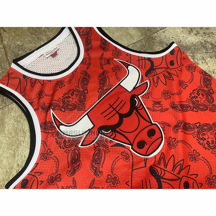 Maglia
 Michael Jordan NO 23 Chicago Bulls Mitchell & Ness 1996-97 Rosso
2